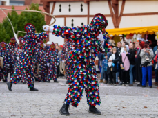 Historische Narrenzunft Markdorf e. V.
