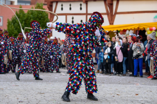 Historische Narrenzunft Markdorf e. V.