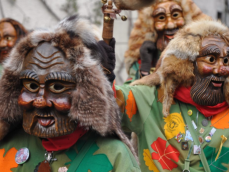 Narrenzunft Bad Säckingen e. V.