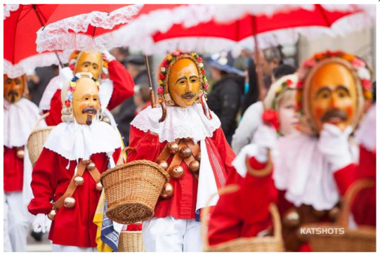 Narrenzunft Bochingen e. V.