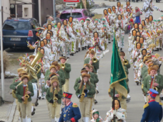 Narrenzunft "Grünwinkel 1858" e. V. Geisingen