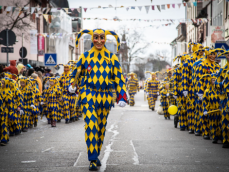 Narrenzunft Krakeelia Waldkirch e. V. 