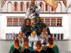 Narrenzunft Waldsee e. V.