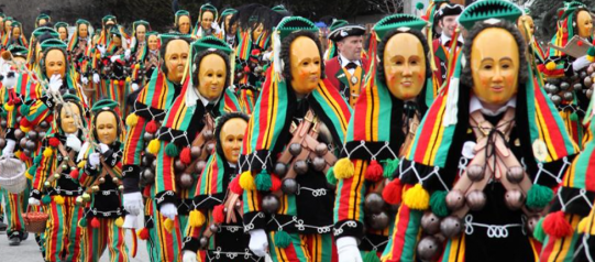 Narrenzunft Wellendingen e. V.