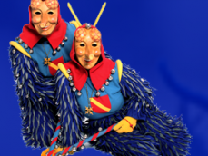 Narrenzunft D'Rhiischnooge Neuenburg am Rhein e. V.