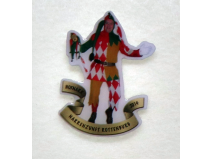 PIN Hofnarr 2014